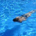 Integrating Pools into Commercial Construction in Cambrian Park